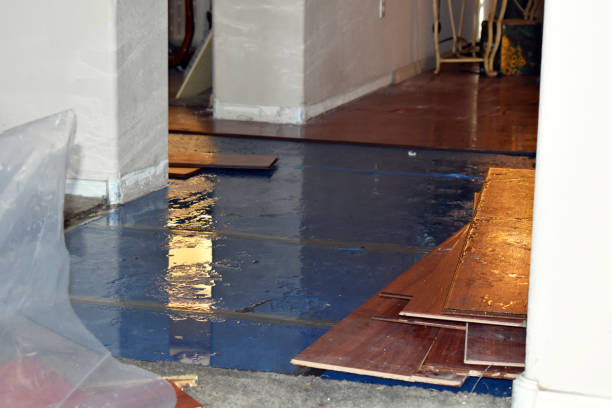 Professional Water Damage Restoration technician working in Wellston, MI
